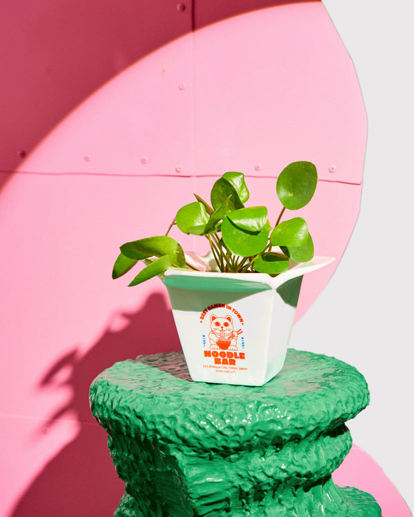 Übertopf / Vase Ramen von Fluid Market