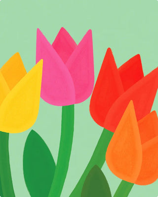 Fächer Tulips  🌷