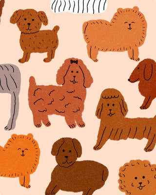 Fächer „Puppies“