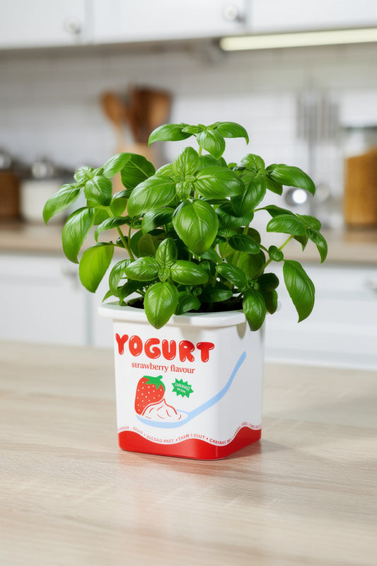 Vase / Übertopf „Joghurt Erdbeere“